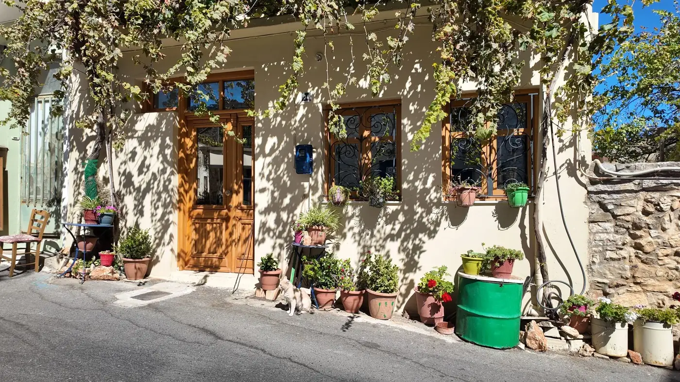 A quaint Greek street scene with potted plants and rustic charm.