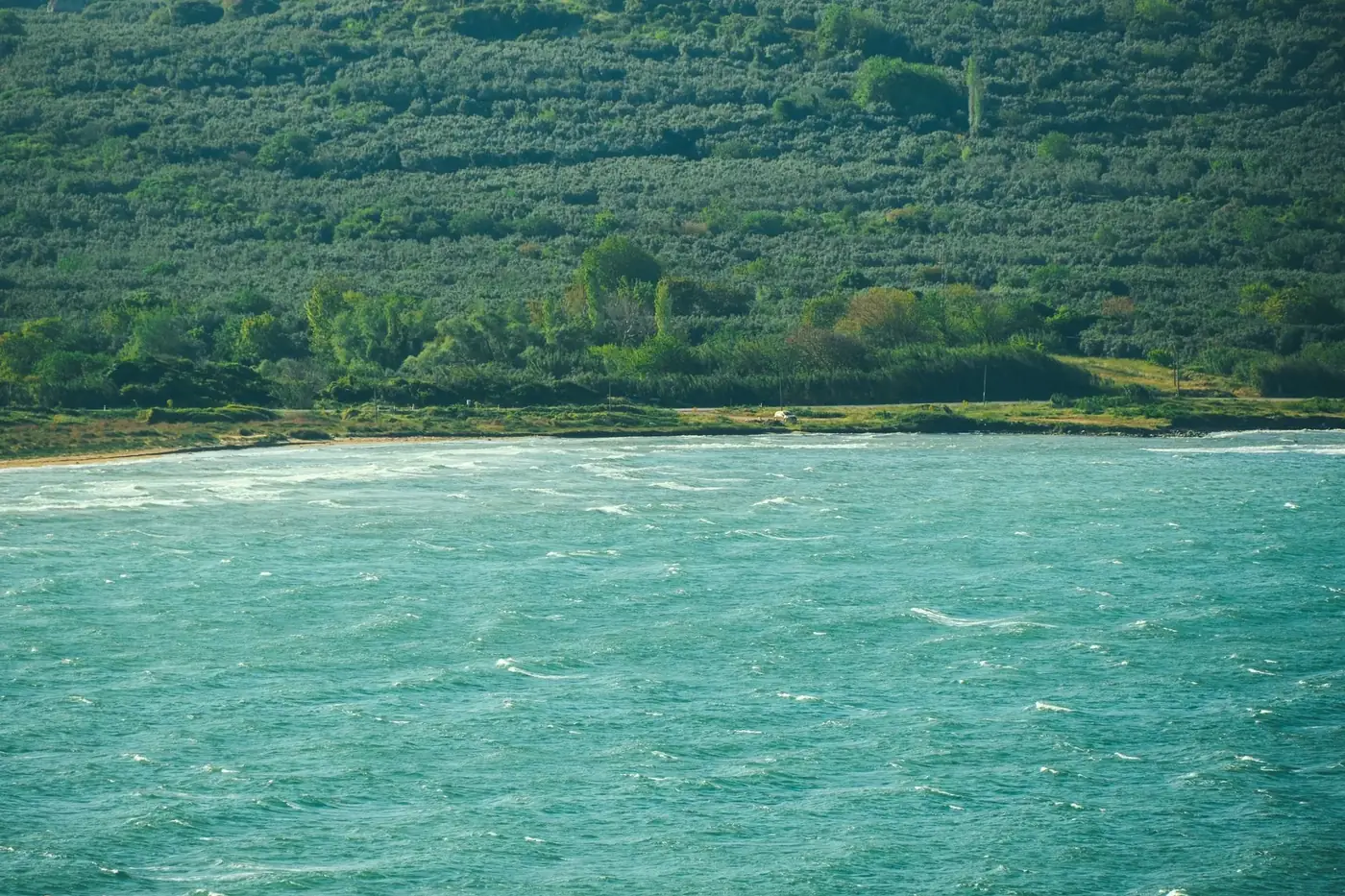 A tranquil view of a blue ocean meeting lush green hills under a clear summer sky.