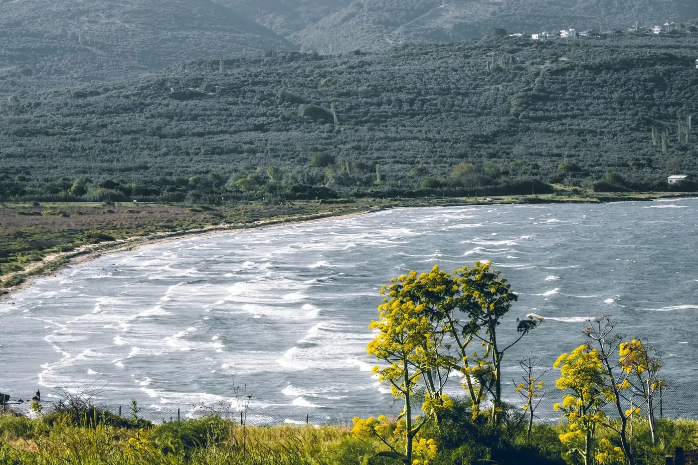 A stunning aerial view of a windy seaside landscape with rugged hills and vibrant flora.