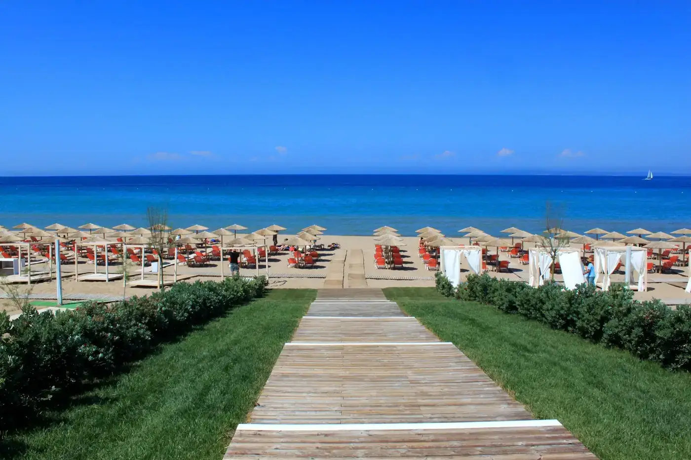 Sunny Zakinthos beach with rows of umbrellas and clear blue waters perfect for a summer vacation.