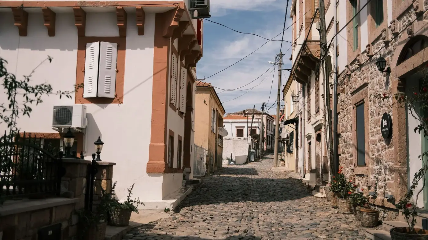 Explore a quaint cobblestone alley lined with historic buildings, bathed in summer sunlight.