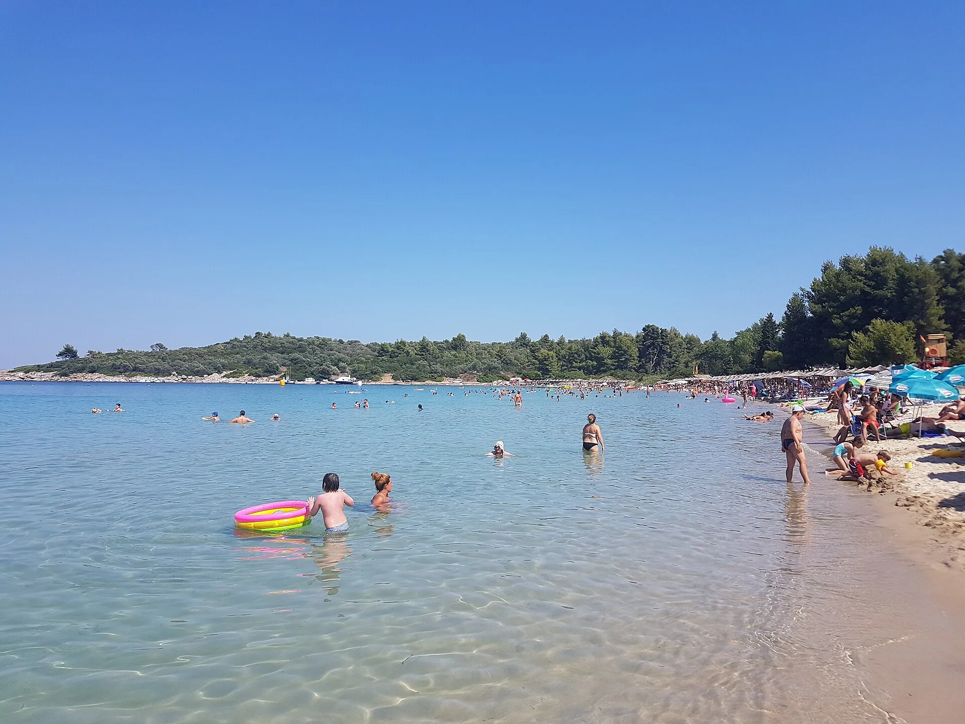 Paliouri