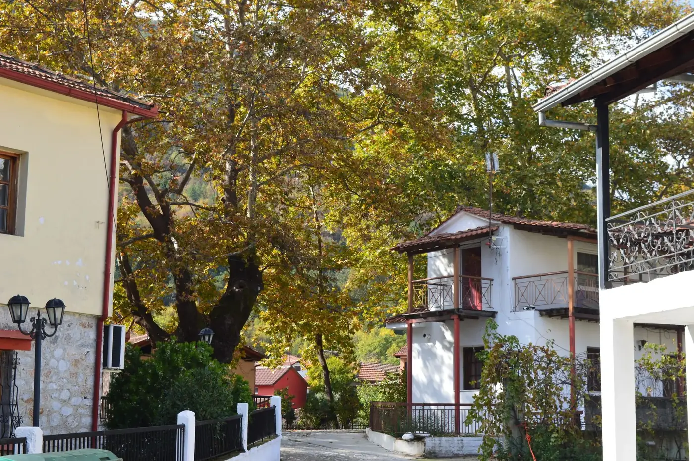 Picturesque village houses in Orma, Greece surrounded by vibrant autumn foliage.