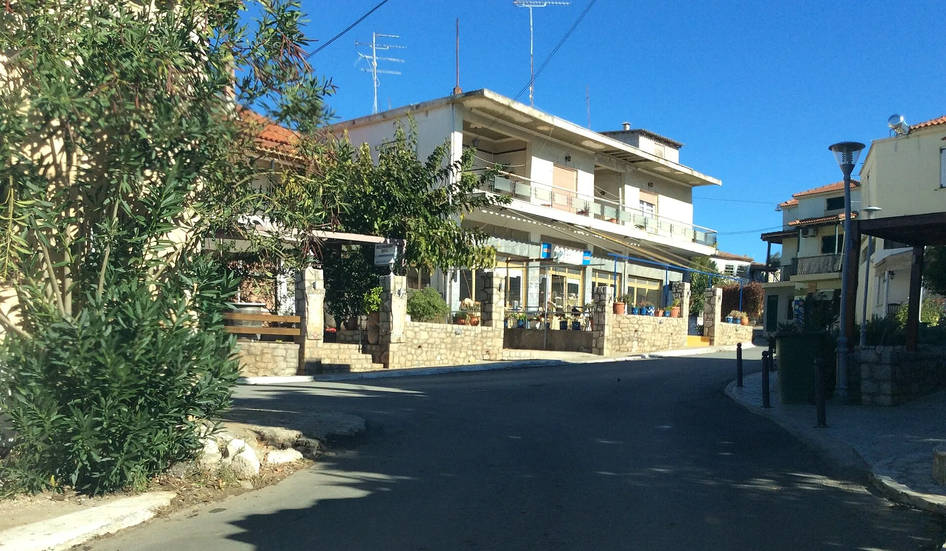 Romanos