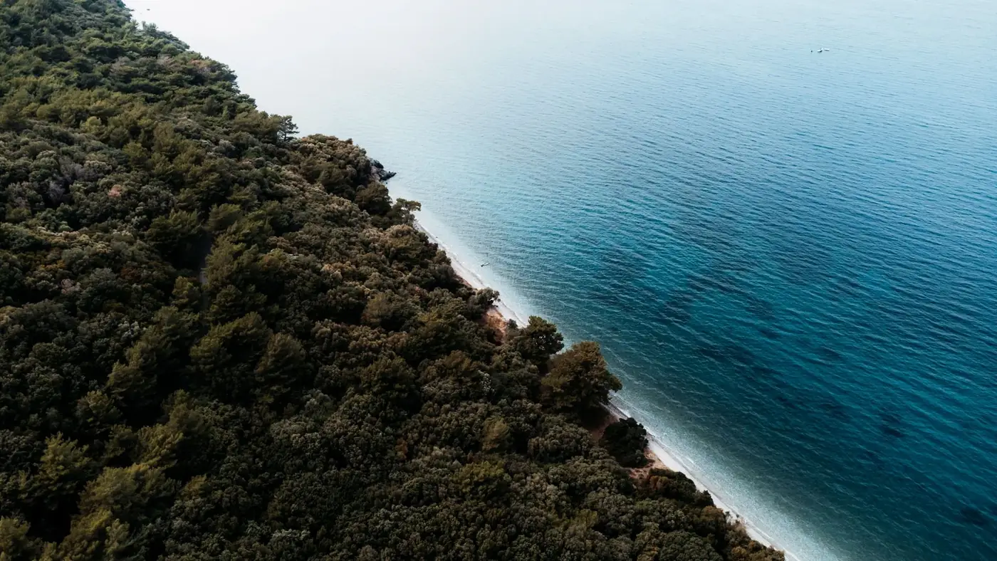 A breathtaking aerial view of a lush forest meeting the turquoise waters along a serene coastline.